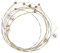 EXCEART 7 Pz Lira Arpa Sostituzione Stringa Metallo Stringa Strumento Musicale Accessori per Arpa Lira Clavicembalo Dulcimer Strumento a Corde