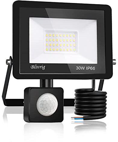 Blivrig LED Strahler mit Bewegungsmelder Außen 30W Kaltweiss, Fluter mit Bewegungssensor, Superhell 3000LM Aussenstrahler, IP66 Wasserdicht Scheinwerfer, für Garten, Garage (Kaltes Weiß, 30W)