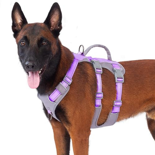 Huntboo Sicherheitsgeschirr Hund Ausbruchsicher, Panikgeschirr für Hunde, Reflektierendes Geschirr Hund mit Griff, Verstellbare Hundegeschirr für kleine, mittelgroße und große Hunde (Lavendel Lila,L)