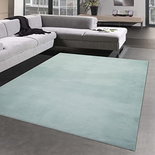 CARPETIA Teppich Schlafzimmer Wohnzimmer Badezimmer antirutsch weich mit angenehmem Uni-Design in Blau 120 x 160 cm