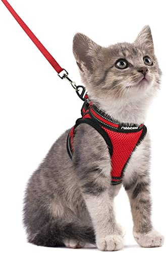 rabbitgoo Katzengeschirr Katzenleine Set Katzengeschirr mit Leine Geschirr Katzen ausbruchsicher verstellbar weich mit reflektierenden Streifen für Katzen Kitten Welpen Cat Harness Leash Rot S