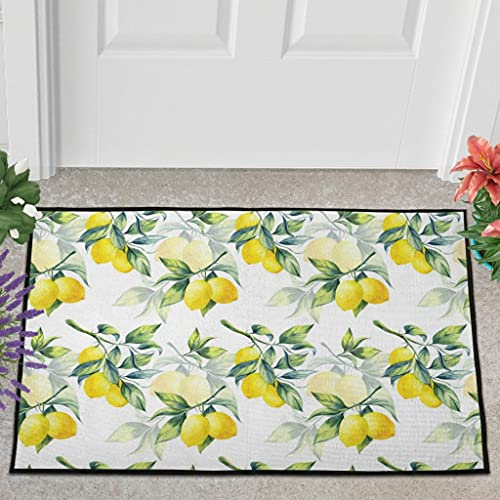 Veryday Zitrone Blätter Pflanzen Fußmatte Türmatte Eingangsmatte Fußabtreter Fußabstreifer Türvorleger Schmutzfangmatte Sauberlaufmatte Haustürmatte für Innen und Außen White 40x60cm