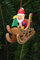 Christian Ulbricht Christbaumschmuck Christbaumschmuck Weihnachtsmann im Schlitten - 7,5x7,1cm