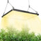 LED Grow Lights, 100W Sunlike Full Spectrum Grow Light with 3x3ft Coverage for Indoor Plants - Dimmable, No Noise