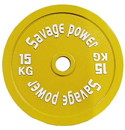 A Pair Of Weight Barbell Plate Strength Training Plates Cast Iron Barbell Plates Olympic Fractional Weight Plates for Barbell or Dumbbell PU Home Gym Weightlifting, 2 Inch weight plate