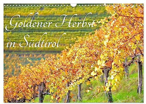 Goldener Herbst in Südtirol (Wandkalender 2026 DIN A3 quer), CALVENDO Monatskalender: Herbstliche Impressionen aus Südtirol. (CALVENDO Orte)