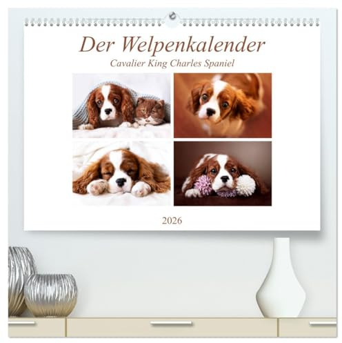 Der Welpenkalender - Cavalier King Charles Spaniel (hochwertiger Premium Wandkalender 2026 DIN A2 quer), Kunstdruck in Hochglanz: Mit süßen Welpen durch das Jahr (CALVENDO Tiere)