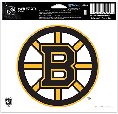 NHL Tampa Bay Lightning-Aufkleber, mehrfarbig, 12,7 x 15,2 cm