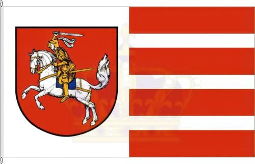 KÖNIGSBANNER Zertifizierte Flagge Fahne Kreis Dithmarschen - HEI 20 x 30cm - Kleinfahne mit zwei Befestigungsbändern aus deutscher Flaggen-Manufaktur
