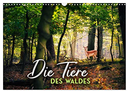 Die Tiere des Waldes (Wandkalender 2026 DIN A3 quer), CALVENDO Monatskalender: Ein Ausflug in die Märchenwälder dieser Welt. (CALVENDO Tiere)