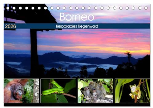 Borneo - Tierparadies Regenwald (Tischkalender 2026 DIN A5 quer), CALVENDO Monatskalender: Eine tierische Bilderreise durch Borneo (CALVENDO Tiere)