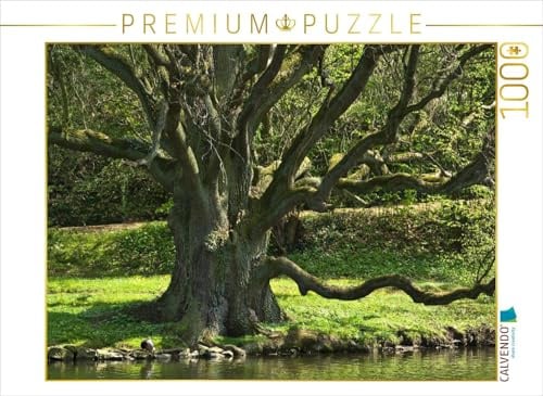 CALVENDO Puzzle Eiche, Schloßpark Bückeburg | 1000 Teile Lege-Größe 64 x 48 cm Foto-Puzzle für glückliche Stunden