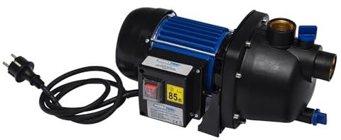 Bomba de agua de superficie 1000w Werkapro