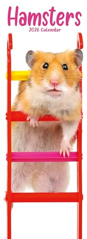 Hamsters Slim 2026 Calendar | Slimline Wall Calendar | Animal Gift | Plastic Free Packaging | by Avonside Publishing