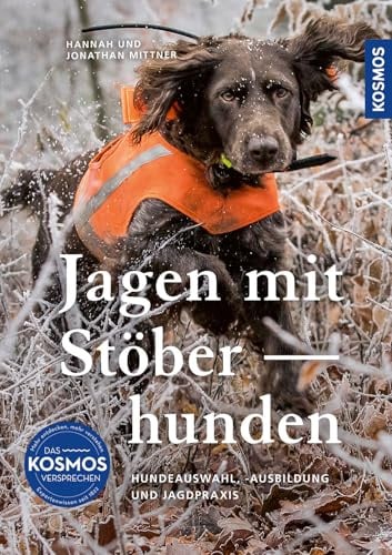 Jagen mit Stöberhunden: Hundeauswahl, -ausbildung und Jagdpraxis. So werden Wachtelhund, Bracken, Terrier und Teckel zu perfekten Stöberhunden. Für mehr Jagderfolg auf der Bewegungsjagd.