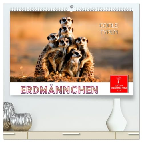 Erdmännchen - coole Typen (hochwertiger Premium Wandkalender 2026 DIN A2 quer), Kunstdruck in Hochglanz: Kleine, mächtige Raubtiere, die im südlichen Afrika leben. (CALVENDO Tiere)