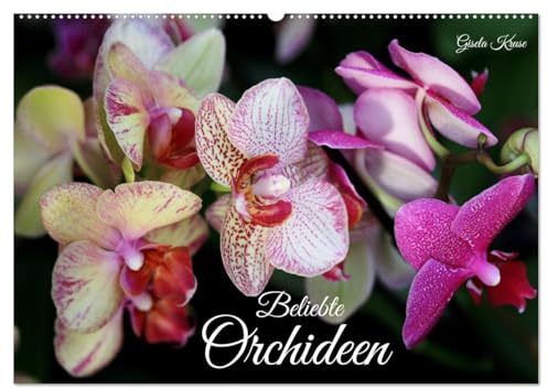 Beliebte Orchideen (Wandkalender 2026 DIN A2 quer), CALVENDO Monatskalender: Kunterbunte Schmetterlings- und Frauenschuhorchideen (CALVENDO Natur)
