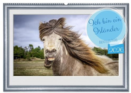 Ich bin ein Isländer (Wandkalender 2026 DIN A2 quer), CALVENDO Monatskalender: Islandpferde voller Lebensfreude. (CALVENDO Tiere)