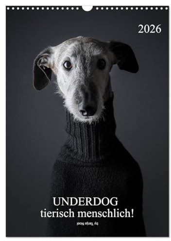 UNDERDOG - Windhundportraits (Wandkalender 2026 DIN A3 hoch), CALVENDO Monatskalender: tierisch menschlich! (CALVENDO Tiere)