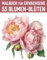 55 Blumen-Blüten aus aller Welt / Malbuch für Erwachsene: Professionelle Motive für Spaß, Entspannung & Stressabbau (Mal- und Rätselbücher Erwachsene)