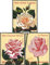 France 3389-3391 (complète.Edition.) Neuf avec Gomme Originale ** MNH 1999 Rose sélections (Timbres pour Les collectionneurs) Plantes/Champignons