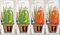 Scheurich Wasserspender Bördy S | 4er Set Grün/Orange | 90 ml Füllmenge | Bewässerungskugel klein mit Ton Fuß | Wasserspender Pflanzen und Blumen Terrakotta Stiel