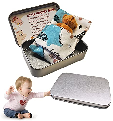 Xerteam Mini Plush Pocket Bear, Soft Comfortable Teddy in a Tin Box - Perfect Christmas or Birthday Gift for Children (Dark Brown)