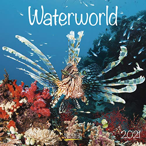 Waterworld 2021: Broschürenkalender mit Ferienterminen. Fische und Unterwasserwelt. 30 x 30 cm