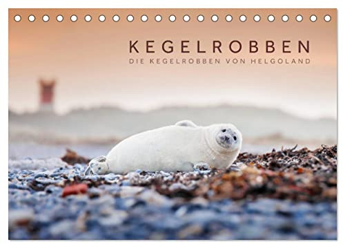 Kegelrobben - Die Kegelrobben von Helgoland (Tischkalender 2026 DIN A5 quer), CALVENDO Monatskalender: Die bekannten Kegelrobben von Helgoland in ihrer natürlichen Umgebung. (CALVENDO Orte)