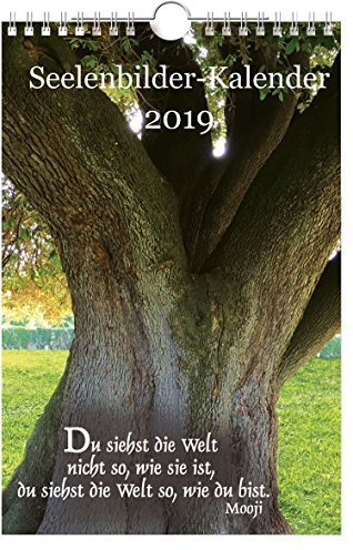 Seelenbilder-Kalender 2019: Wandkalender