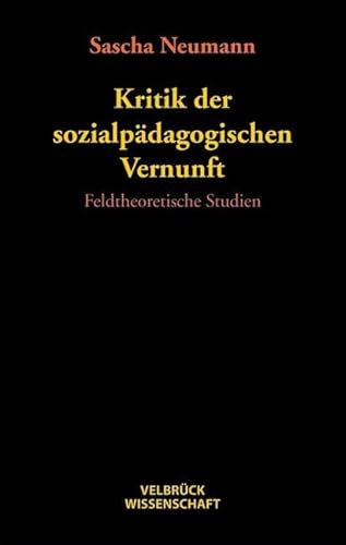 Kritik der sozialpädagogischen Vernunft: Feldtheoretische Studien