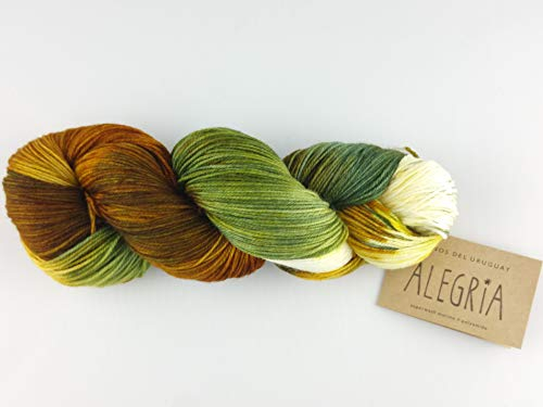 Manos Del Uruguay Alegria A9375 Otono, 100g, Sockenwolle handgefärbt
