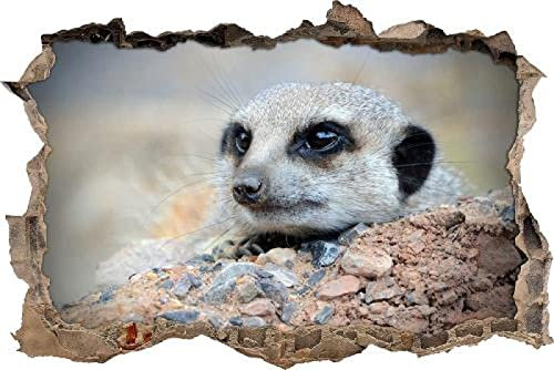 Gougeltd Wandtattoo - Erdmännchen auf Steinboden - Wandaufkleber - 3D Wandsticker - Wandbild selbstklebend Wanddeko fürs Kinderzimmer 53x79cm