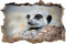 Gougeltd Wandtattoo - Erdmännchen auf Steinboden - Wandaufkleber - 3D Wandsticker - Wandbild selbstklebend Wanddeko fürs Kinderzimmer 53x79cm