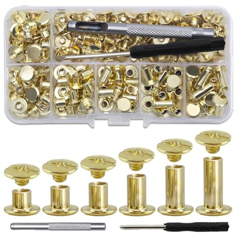 Buchschrauben Metall Gürtelschrauben Kreuzkopf Schraube für Hundeleine Buchschraube 4mm Chicago Buchschrauben Golden Chicago Schrauben mit Schraubendreher für DIY-Bücher, Scrapbooking 110 Set