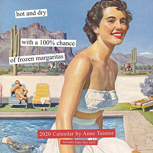 Anne Taintor 2020 Wall Calendar: (2020 Wall Calendar, Funny Wall Calendar, Retro Wall Calendar)