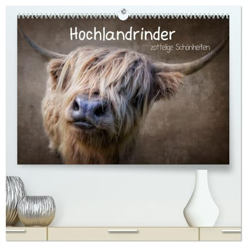 Hochlandrinder - Zottelige Schönheiten (hochwertiger Premium Wandkalender 2026 DIN A2 quer), Kunstdruck in Hochglanz: Die Models unter den Kühen in eindrucksvollen Bildern (CALVENDO Tiere)