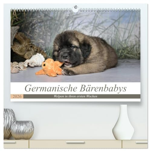 Germanische Bärenbabys (hochwertiger Premium Wandkalender 2026 DIN A2 quer), Kunstdruck in Hochglanz: Zauberhafte Welpenbilder von Germanischen Bärenhunden. (CALVENDO Tiere)
