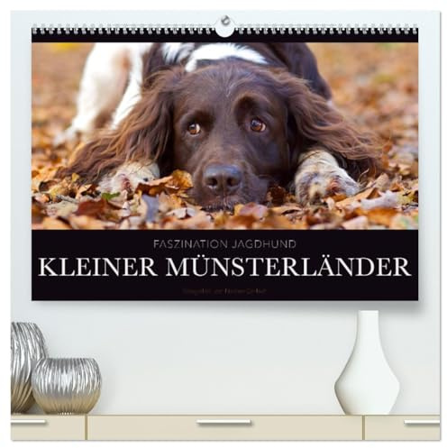 Faszination Jagdhund - Kleiner Münsterländer (hochwertiger Premium Wandkalender 2026 DIN A2 quer), Kunstdruck in Hochglanz: Kleiner Münsterländer ... - Ein Leben neben der Jagd (CALVENDO Tiere)