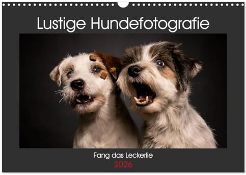 Fang das Leckerlie (Wandkalender 2026 DIN A3 quer), CALVENDO Monatskalender: Hundekalender 2018 - Fang das Leckerlie (CALVENDO Tiere)