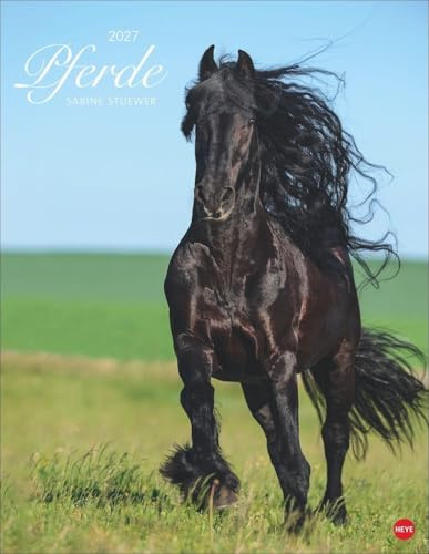 Pferde Classics Posterkalender 2027: Die Eleganz der Tiere in einem Kalender im Posterformat eingefangen von Sabine Stuewer. Hochwertiger Fotokalender für Pferdefreunde.