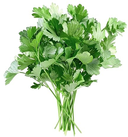 prademir Lot de 250 graines de persil bio