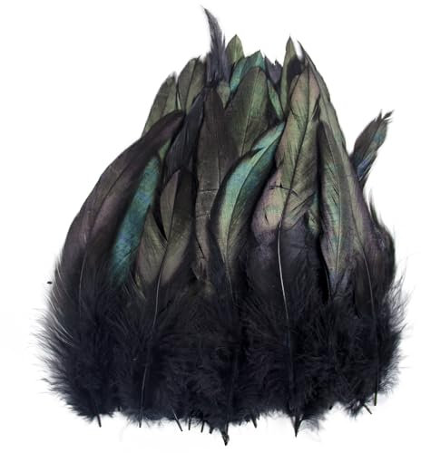 Raibertin 5-7Inch Natural Saddle Hill RoosterPheasant Feather for Crafts Kostüme Natural Coque Rooster hackel Feather DIY Schmuck Hüte Dream Catcher Pack of 100 pcs (schwarz)