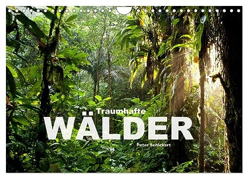Traumhafte Wälder (Wandkalender 2026 DIN A4 quer), CALVENDO Monatskalender: 12 traumhafte Bilder von wunderbaren Wäldern aus aller Welt (CALVENDO Natur)