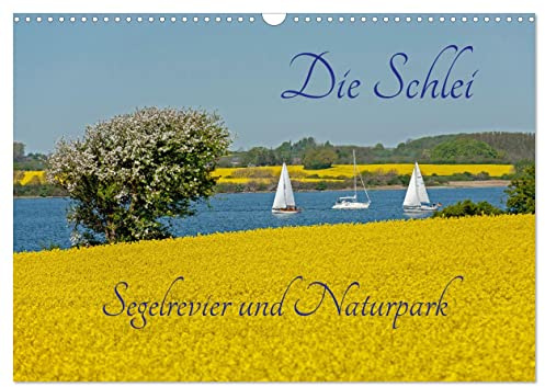 Die Schlei - Segelrevier und Naturpark (Wandkalender 2026 DIN A3 quer), CALVENDO Monatskalender: Die Schlei, ein Ostseefjord umgeben von Rapsfeldern. (CALVENDO Orte)