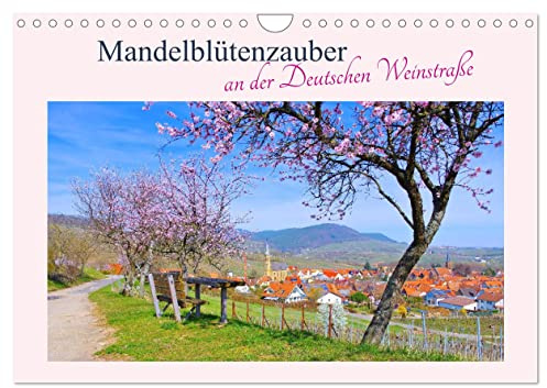 Mandelblütenzauber an der Deutschen Weinstraße (Wandkalender 2026 DIN A4 quer), CALVENDO Monatskalender: Mandelblüte in der Pfalz (CALVENDO Orte)