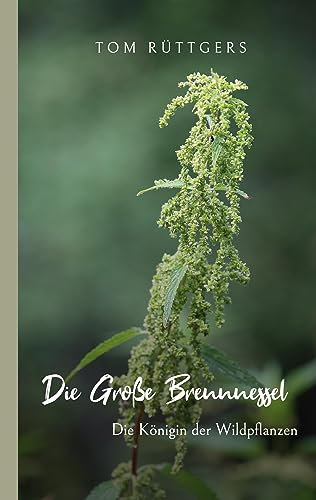 Die Große Brennnessel: Die Königin der Wildpflanzen