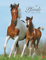 Pferde Classics Kalender 2021