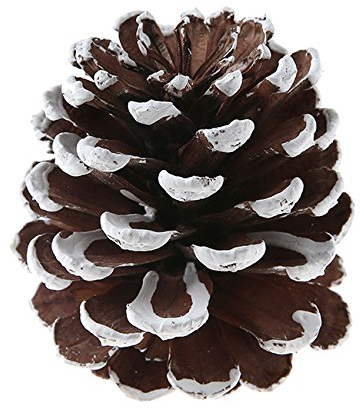 Santex Es Weihnachtet sehr... Natur Tannenzapfen Tischdeko Weihnachten Tisch Dekoration