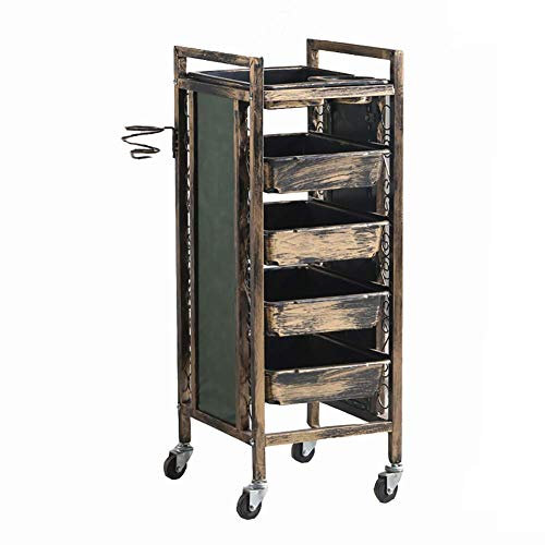 GJSN Trolley Recycling Fahrzeuge Multifunktions Tragbar, 5 Regal Friseursalon Spa Trolley Lagerwagen Mit 4 Schubladen Griff, Mobil 5-Tier Beauty Salon Haartrockner Halter, Metall Utility Carts